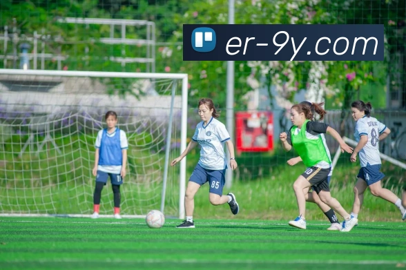 九游官网发展历程